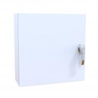 Hinge Door with Handle Painted SS